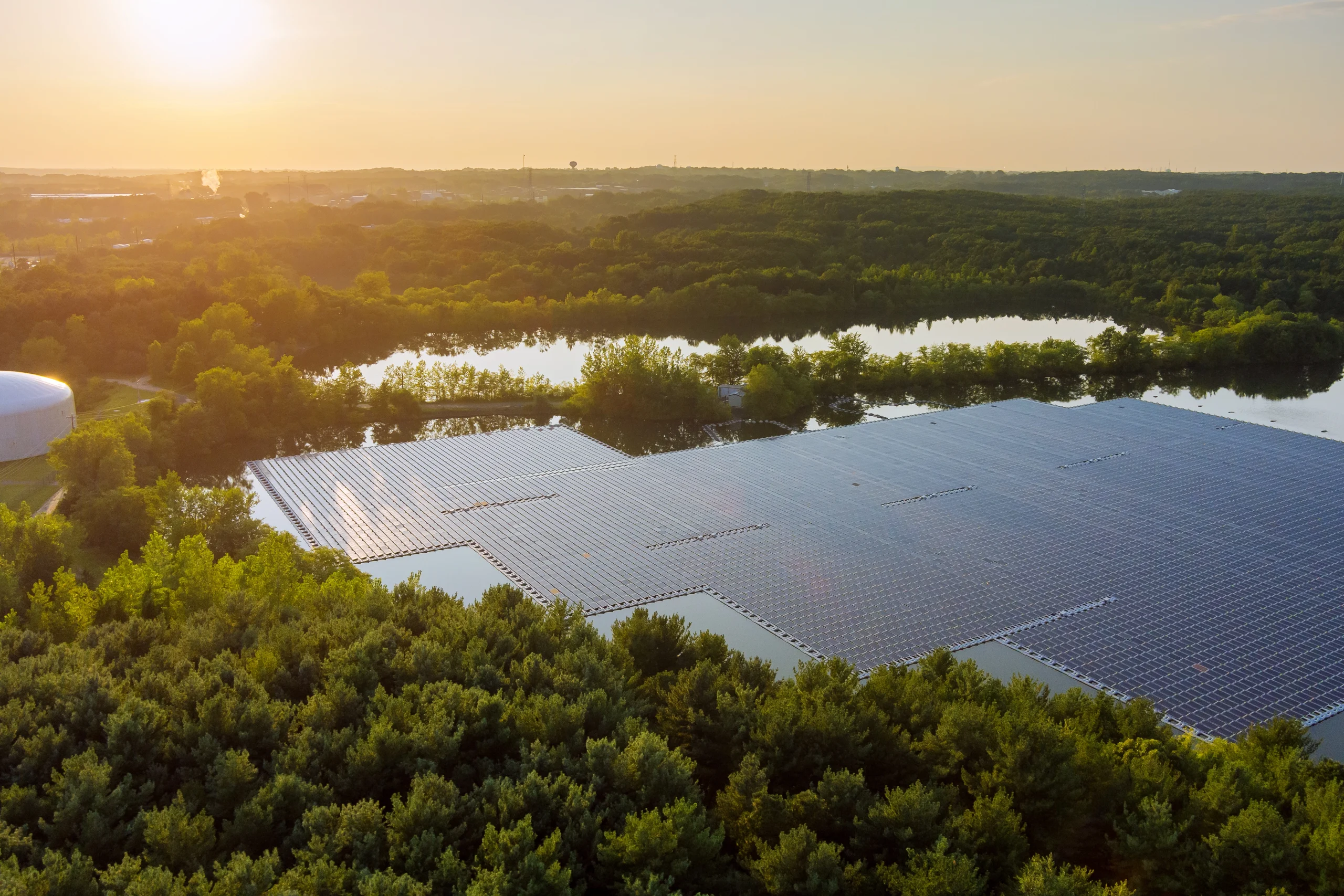 solar panels with trees